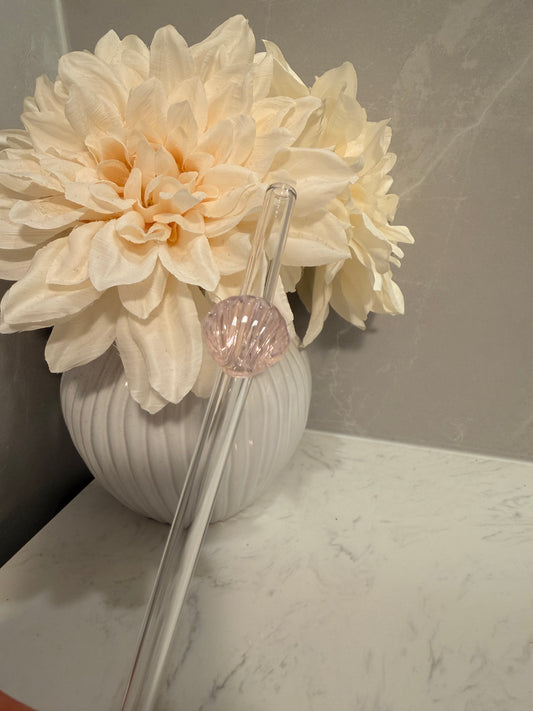 Light Pink Shell