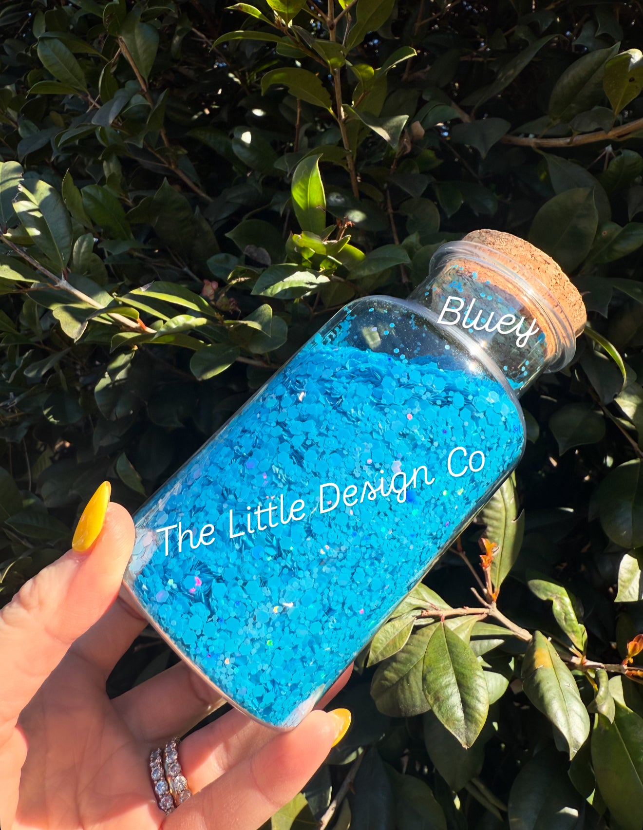Bluey Chunky Glitter